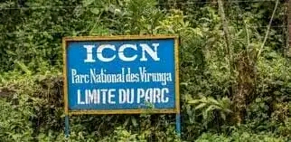 Dévastation des cultures par les animaux du parc de Virunga: L’ICCN apporte des précisions