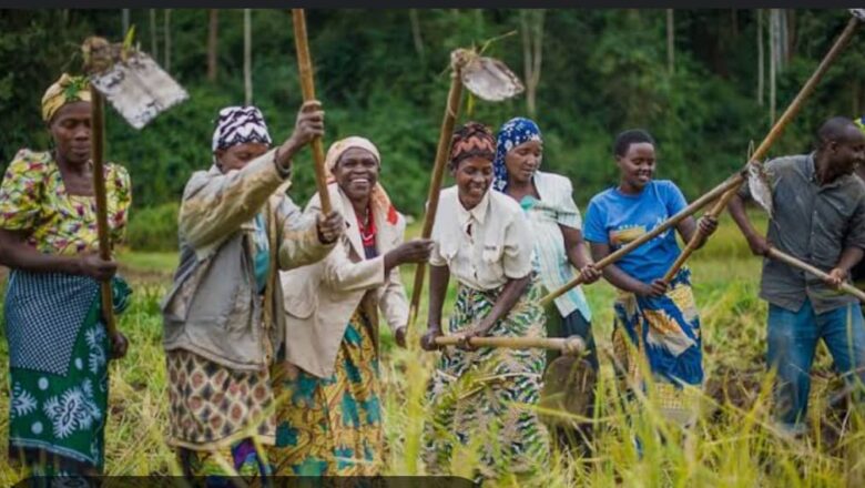 Soutenir les femmes rurales de Mutwanga : un appel urgent à la Protection et à la reconnaissance