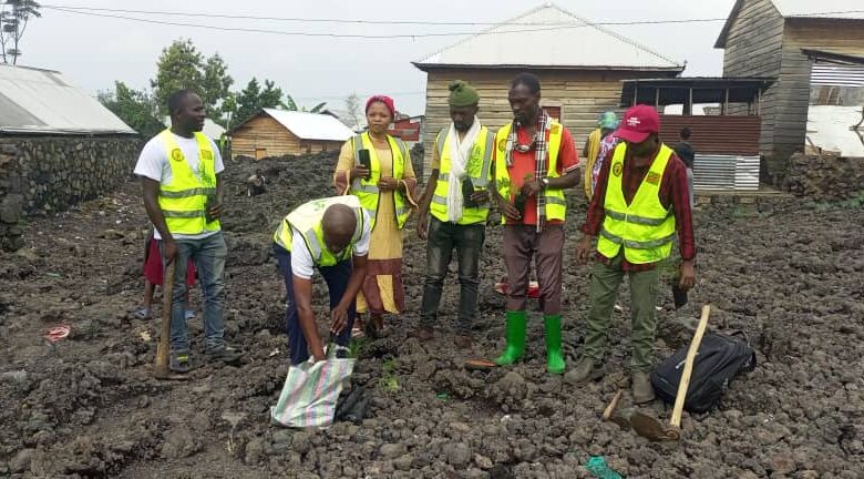 Nyiragongo: Une nouvelle espérance grâce au Reboisement par le CJCN-DC